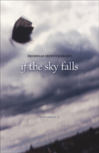 If the Sky Falls - Cover