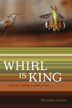 Whirl Is King - Cover