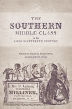 The Southern Middle Class in the Long Nineteenth Century - Cover