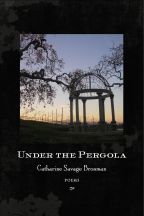 Under the Pergola - Cover