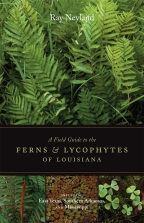 A Field Guide to the Ferns and Lycophytes of Louisiana - Cover