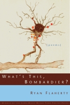 What's This, Bombardier? - Cover