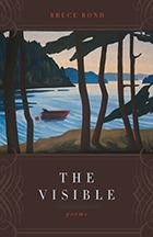 The Visible - Cover