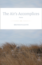 The Air's Accomplices - Cover