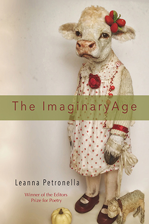 The Imaginary Age - Cover