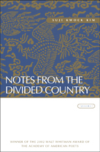 Notes from the Divided Country - Cover