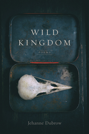 Wild Kingdom - Cover