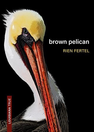 Brown Pelican - Cover