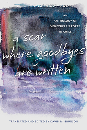 A Scar Where Goodbyes Are Written - Cover