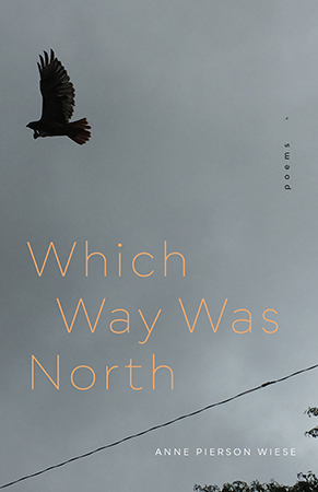 Which Way Was North - Cover