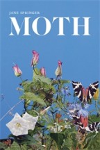 Moth - Cover