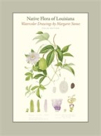 Native Flora of Louisiana - Cover